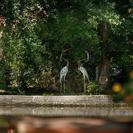 Hotel Luxus Design Ottilienruh Im Harz Ilsenburg